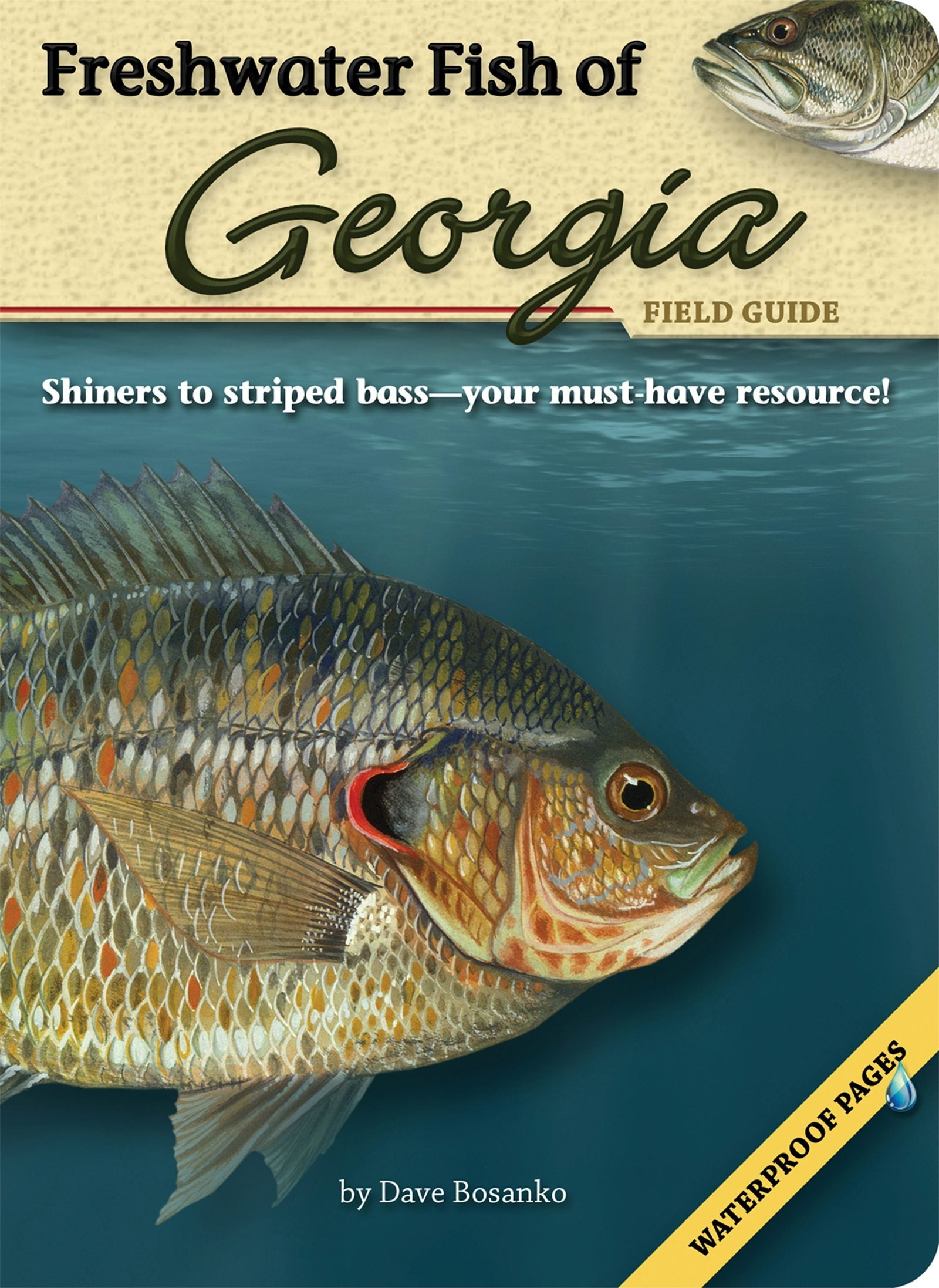 Book cover image for Freshwater Fish of Georgia Field Guide ISBN: 9781591932635